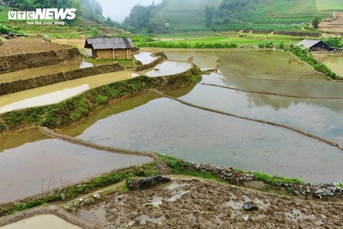 Beeindruckende Schönheit der Wassersaison auf den Reisterrassen in Lao Cai - ảnh 11