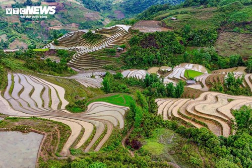 Beeindruckende Schönheit der Wassersaison auf den Reisterrassen in Lao Cai - ảnh 13