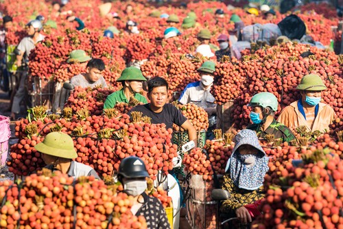 Briefkastensendung vom 16.07.2025 - ảnh 1