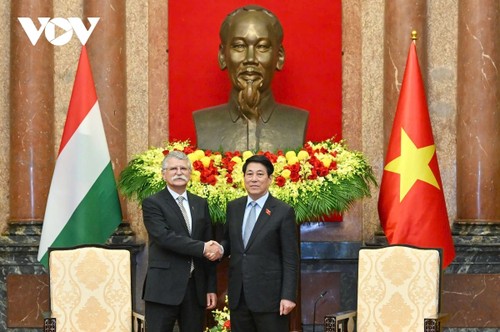 Staatspräsident Luong Cuong: Vietnam will Zusammenarbeit mit Ungarn stärken - ảnh 1