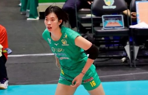 Thanh Thuy unter den zehn besten Spielerinnen der japanischen Volleyballliga - ảnh 1