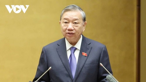 Stimmen und Streben nach Entwicklung des Landes - ảnh 1