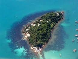 今年的圣诞元旦旅游线 - ảnh 1