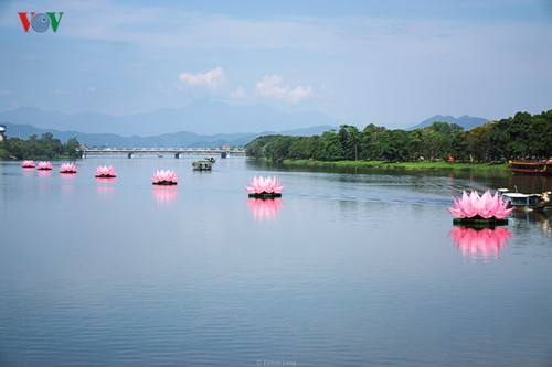 全国各地纷纷举行佛历2561年佛诞节庆祝活动 - ảnh 1