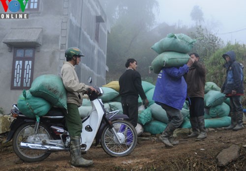 Sapa in freezing cold weather - ảnh 9