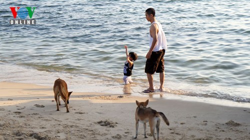 Blaues Meer in Phu Quoc - ảnh 12