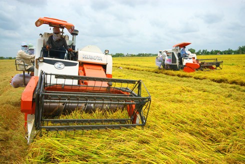 Seminar über die Landwirtschaftsentwicklung bis 2030 - ảnh 1