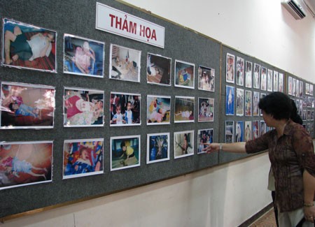 Ho Chi Minh Stadt gedenkt den 51. Jahrestag der Agent Orange-Katastrophe - ảnh 1