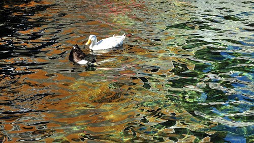 Truong Sa aus verschiedenen Perspektiven - ảnh 10