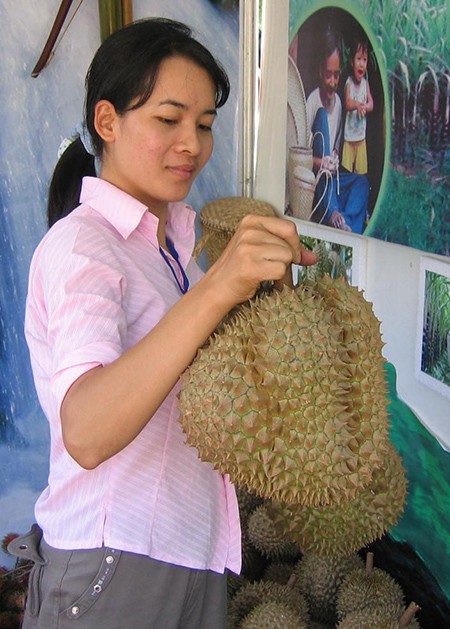 Bäume bieten Ausweg aus der Armut für die Bauern in Khanh Hoa an - ảnh 1