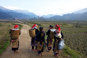 UNO berät Entwicklungsprogramm ab 2015 - ảnh 1