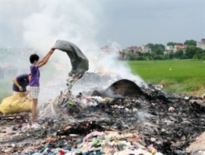 Tagung des Parlamentsausschusses für Wissenschaft, Technologie und Umwelt - ảnh 1