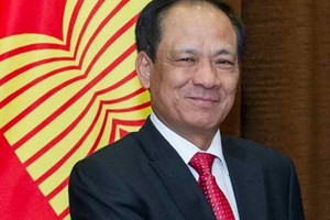 ASEAN und China feiern zehn Jahre ihrer strategischen Partnerschaft - ảnh 1