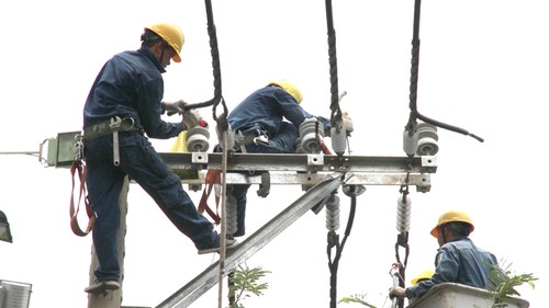 2014 investiert EVN fast sechs Milliarden US-Dollar zur Erhöhung der Strom-Kapazität - ảnh 1