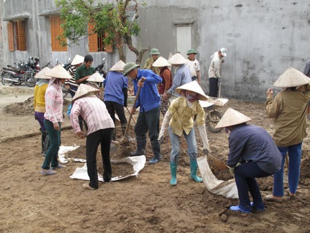 Neugestaltung ländlicher Räume in Thuy Van - ảnh 1