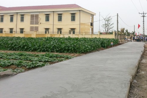 Landwirtschaftliche Wirtschaftsmodelle in Thuy Ninh  - ảnh 1