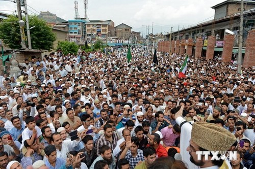 Weltgemeinschaft fordert zu einem Waffenstillstand im Gazastreifen auf - ảnh 1