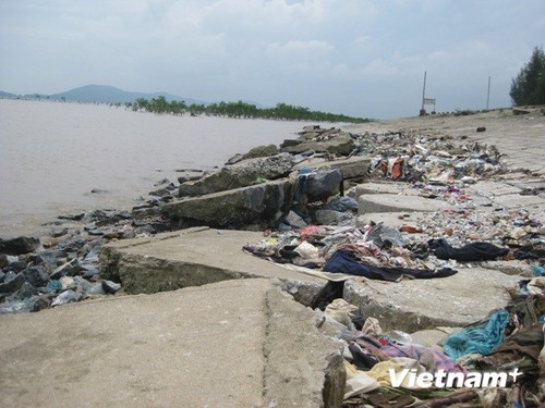 Verbesserung der Fähigkeit der Unterhändler für Klimawandel der ASEAN-Länder - ảnh 1