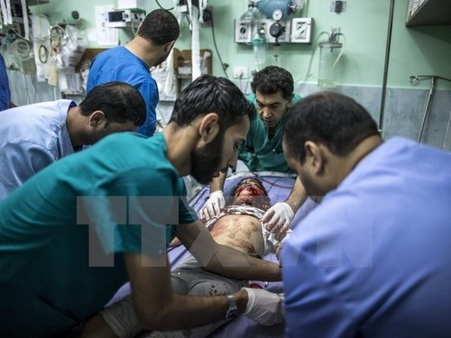 Vietnam beteiligt sich an Konferenz der Mitgliedsländer der Genfer Konvention - ảnh 1