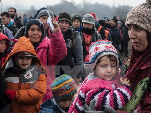 UN-Flüchtlingskommissar wirft Europa völliges Versagen bei Flüchtlingskrise vor - ảnh 1