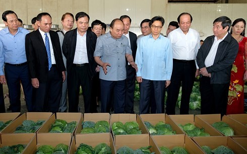 Den Knoten der vietnamesischen Landwirtschaft aufmachen - ảnh 1