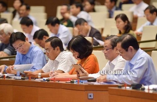 Abgeordnete diskutieren über Staatsinvestitionen - ảnh 1