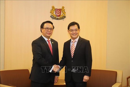 Delegation der KP Vietnams besucht Singapur - ảnh 1