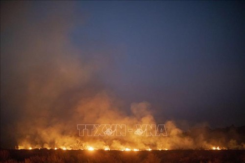 Amazonas-Waldbrand ist keine Angelegenheit jedes einzelnen Lands - ảnh 1