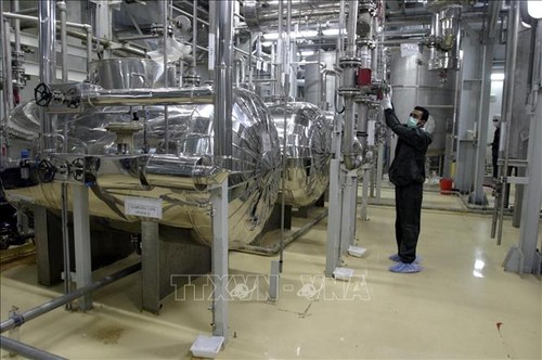 Europäische Großmächte rufen Iran zur Einhaltung von JCPOA auf - ảnh 1