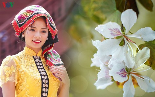 Der Pieu-Schal im Leben der Thai - ảnh 1