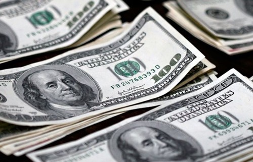 G-20 sagt über 7000 Milliarden US-Dollar für Covid-19-Bekämpfung zu - ảnh 1