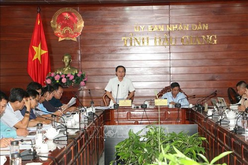 Internationale Marathon in Hau Giang Ende August 2020 veranstaltet - ảnh 1