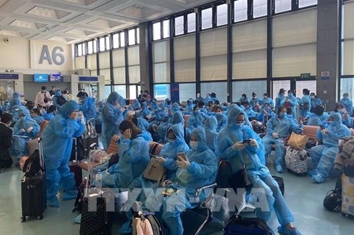 340 Vietnamesen aus Singapur in die Heimat Vietnam gebracht - ảnh 1