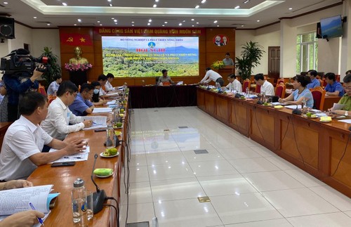 Holzverarbeitungsindustrie entwickelt sich zu einem Spitzenwirtschaftssektor - ảnh 1