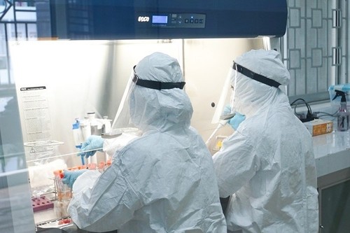 Keine neue Covid-19-Infektion seit 13 Tagen  - ảnh 1