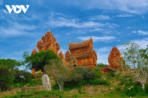 Ein Muss in Phan Rang-Thap Cham - ảnh 5