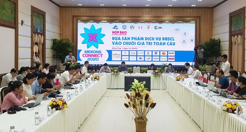 Produkte und Dienstleistungen des Mekong-Deltas in globale Wertketten einbringen - ảnh 1