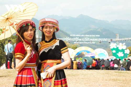 Herbstblühende Kamelie in der Grenzregion Binh Lieu in Quang Ninh - ảnh 10