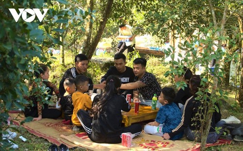 Herbstblühende Kamelie in der Grenzregion Binh Lieu in Quang Ninh - ảnh 12