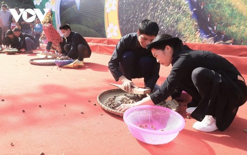 Herbstblühende Kamelie in der Grenzregion Binh Lieu in Quang Ninh - ảnh 17