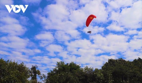 Herbstblühende Kamelie in der Grenzregion Binh Lieu in Quang Ninh - ảnh 18