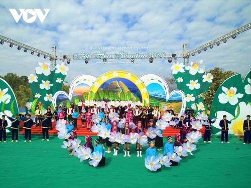 Herbstblühende Kamelie in der Grenzregion Binh Lieu in Quang Ninh - ảnh 6