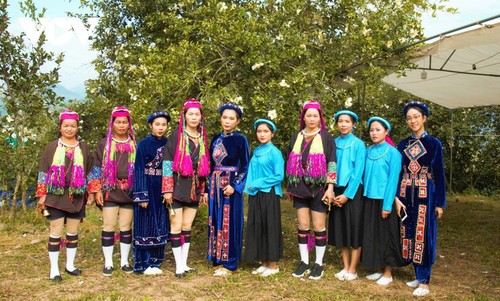 Herbstblühende Kamelie in der Grenzregion Binh Lieu in Quang Ninh - ảnh 7