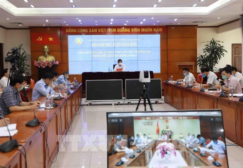 Landwirtschaftliche Produkte für den Export nach internationalen Hinweisen herstellen - ảnh 1