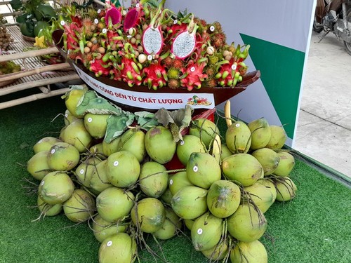 Die Beziehungen Österreich-Vietnam: Aussichtsreiche Zusammenarbeit im Bereich Wirtschaft und Umwelt - ảnh 2