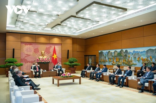 Vietnam-Kuba-Beziehungen verstärken - ảnh 1