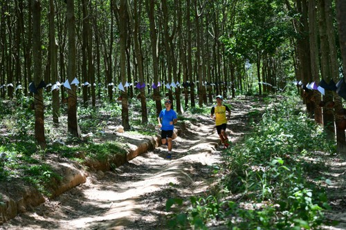 Marathonlauf für Verkehrssicherheit in Sa Thay - ảnh 1