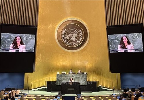 Vietnam ruft zum nachhaltigen Abfallmanagement auf - ảnh 1