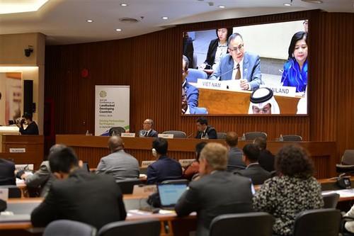 Vietnam unterstützt Binnenentwicklungsländer - ảnh 1