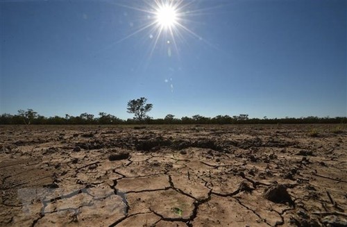 Handlungen gegen den Klimawandel beschleunigen - ảnh 1